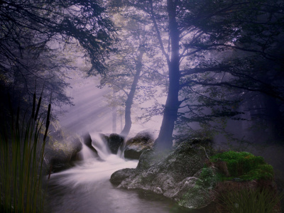 Fantasy Forest Image